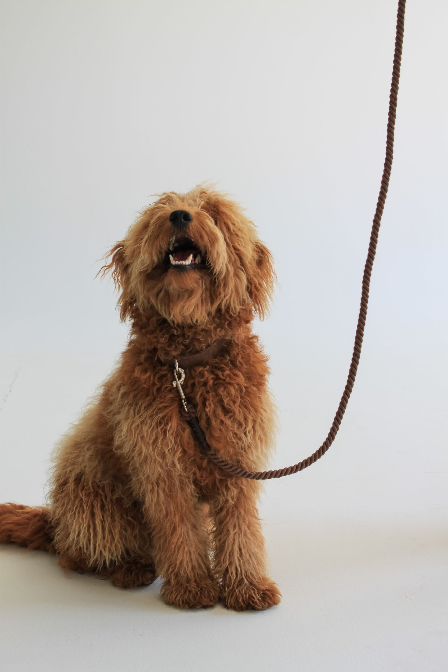 Rope Leash