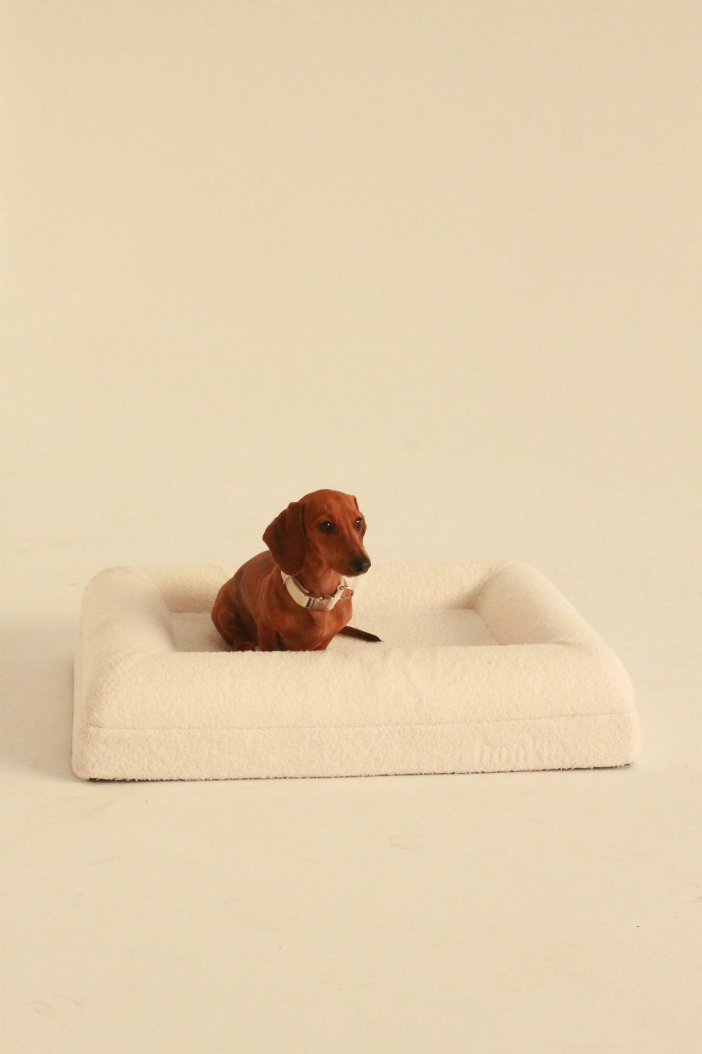 Frankie Dog Bed