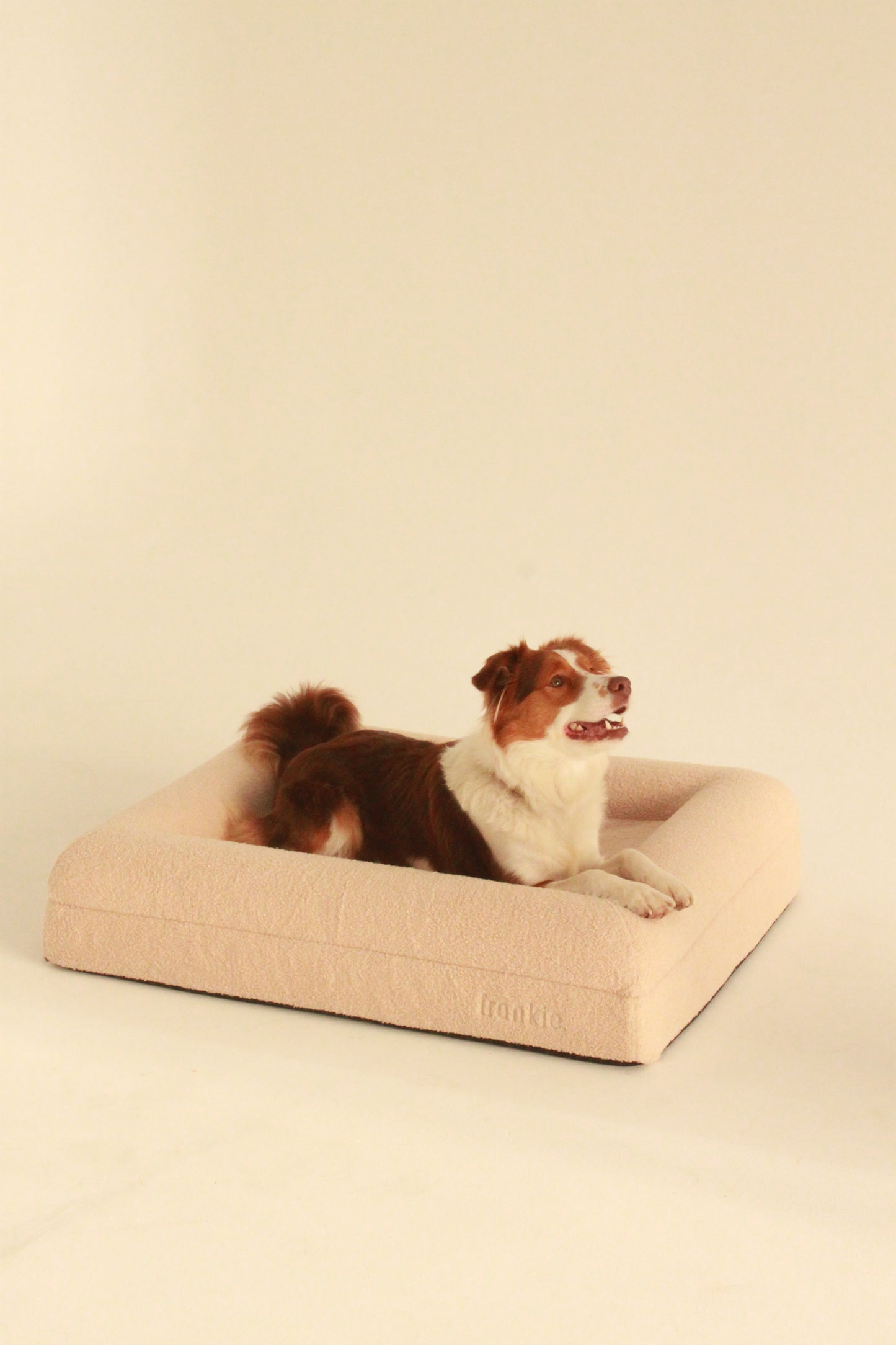 Frankie Dog Bed